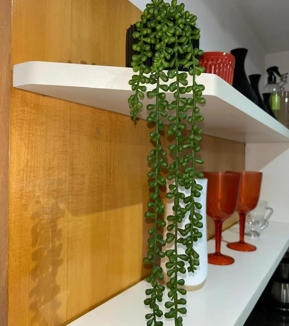 Apartment Flat No Mercure Privilege Ibirapuera Moema - 5 Min Do Aeroporto De Congonhas